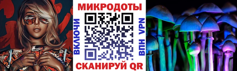 mega ссылки  Электросталь  Псилоцибиновые грибы мицелий  купить наркотики сайты 